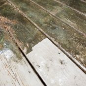 Cleaning up Mildew From Wood