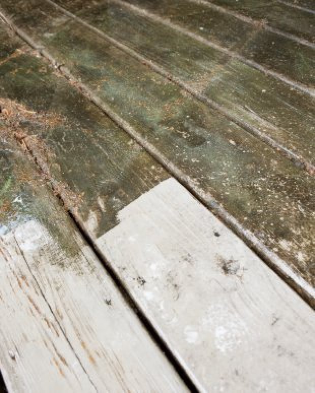 Removing Mildew From Wood Thriftyfun