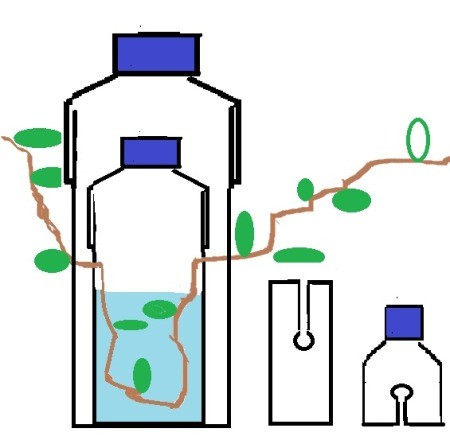Simple drawing of 2 bottles used for this tip.