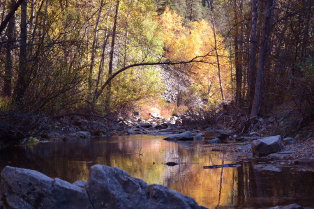 Small Stream with Fall Colors Reflecting