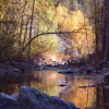 Small Stream with Fall Colors Reflecting