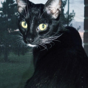 Kat looking at camera.