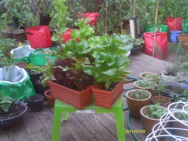 Overview of some of the planters.