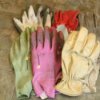 Group of Garden Gloves