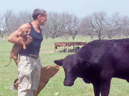 Man Carrying Dog with Cattle
