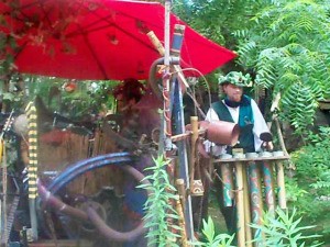 Man Playing Music at Renaissance fair