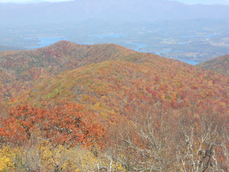 Fall Colors at Brasstown Bald