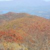 Fall Colors at Brasstown Bald