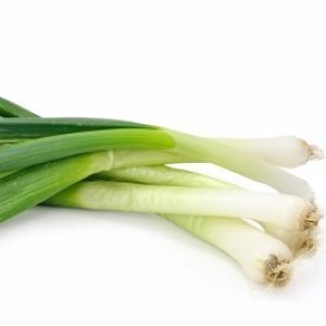 Green onions on white background.