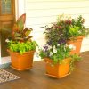 Container planters on a porch.