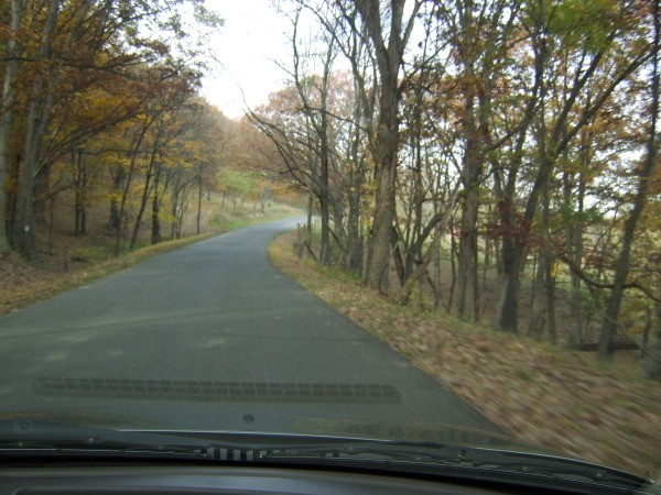 View of Fall Road from Inside Vehicle