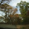View of Fall Trees from Inside Vehicle