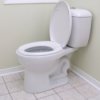 White Low Flow Toilet