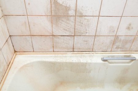 Getting Rid Of Mold In The Bathroom Thriftyfun