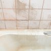 Moldy Tiles and Bathtub