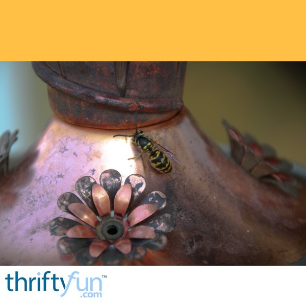 Keeping Bees Out Of A Hummingbird Feeder Thriftyfun