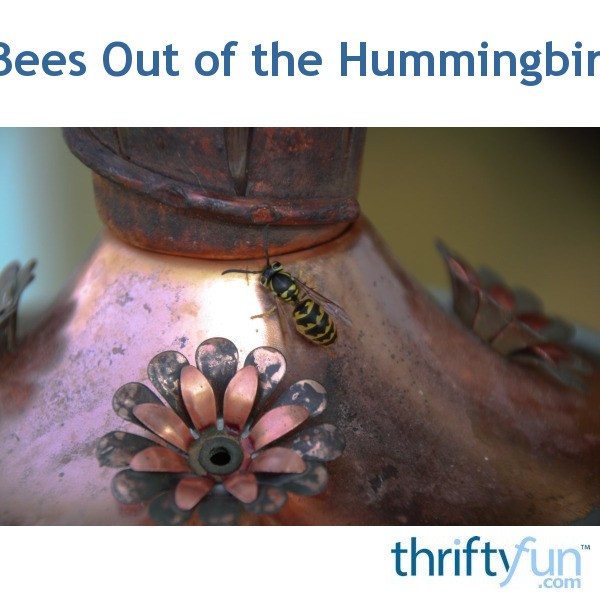 keeping bees out of a hummingbird feeder thriftyfun keeping bees out of a hummingbird feeder thriftyfun