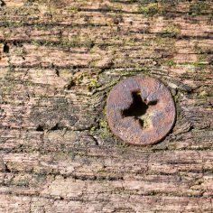 Wood with a screw in it.