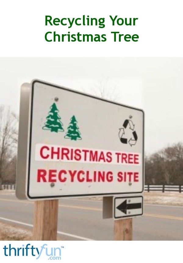 Recycling a Christmas Tree ThriftyFun