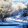 Snowy Railroad Tracks Winding Through Woods