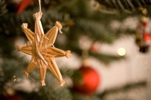 Photo of a Christmas ornament hanging on a tree.