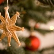 Photo of a Christmas ornament hanging on a tree.