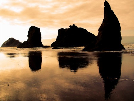 Face Rock Silhouette Reflections in Bandon, OR