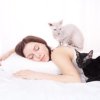 Cats laying on a woman sleeping in bed.
