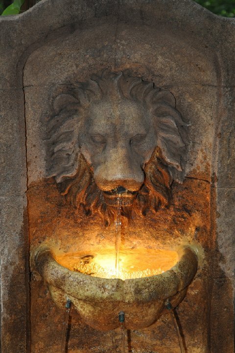 Garden: Lion Fountain | ThriftyFun
