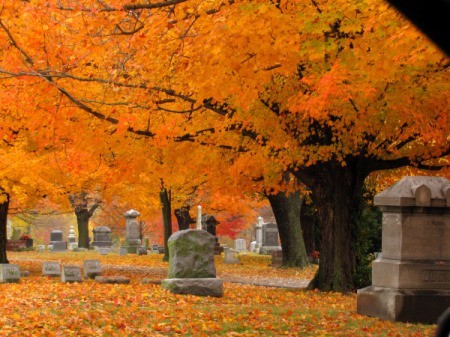 Cemetery with fall colored leaves in trees and on the ground