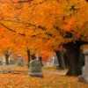 Cemetery with fall colored leaves in trees and on the ground