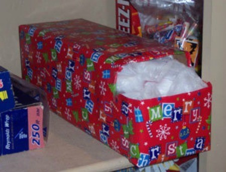 A pop can box made into a bag organizer.
