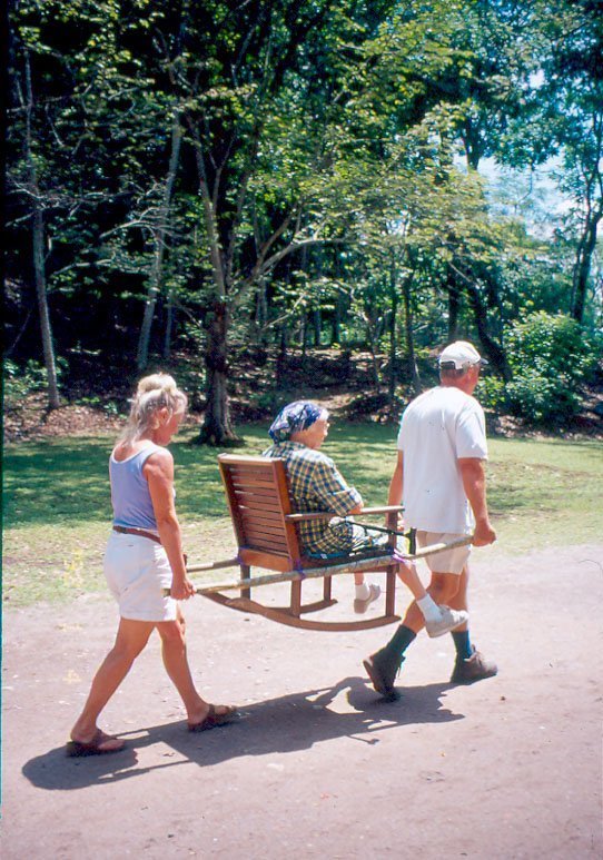 Woman Being Carried in Sedan Chair