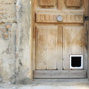 A cat door installed in an old door.