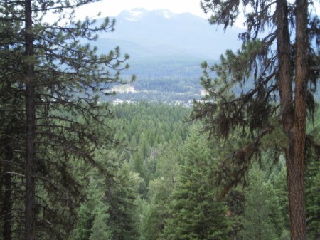 View from Mountain Looking Down in Montana