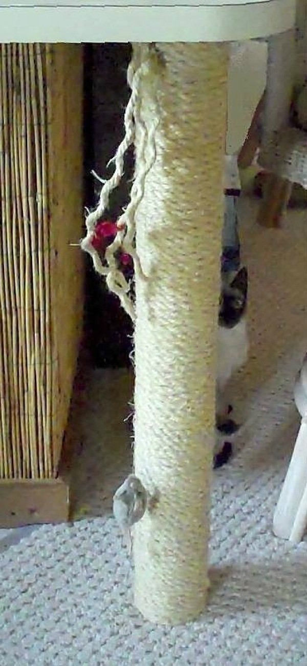 Photo of a homemade cat scratching post.