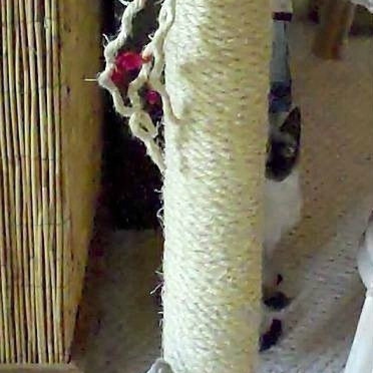 make your own scratching post