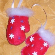 Photo of felt mittens.