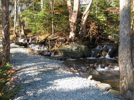 Small Stream of Waterfalls Along Forest Path