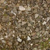 Rock Background with Weeds