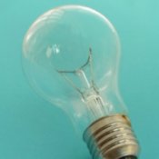 Disposing of Light Bulbs (Incandescent), A light bulb.