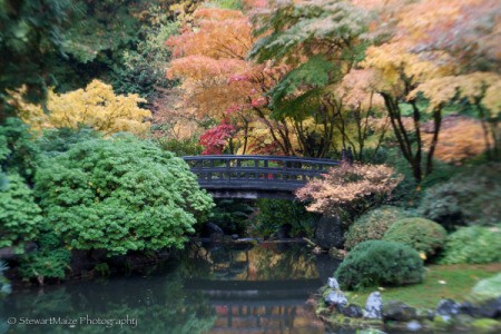 Autumn Reflections at Portland Japanese Garden