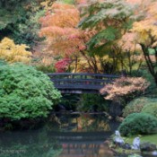 Autumn Reflections at Portland Japanese Garden