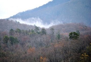 Fall in the Smoky Mountains.