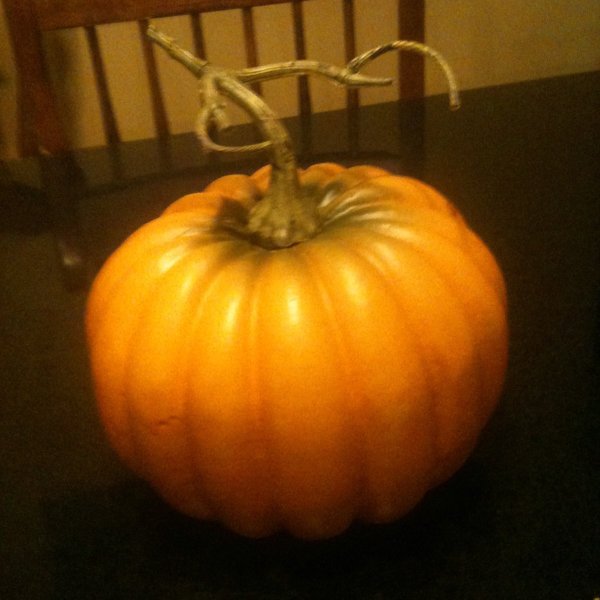 View of pumpkin before starting project.