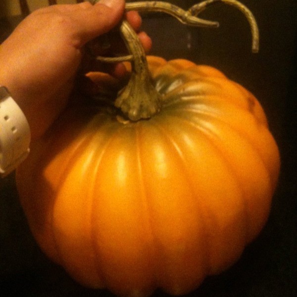 Removing the stem from the pumpkin.