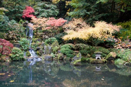 Autumn Waterfall at Portland Japanese Garden