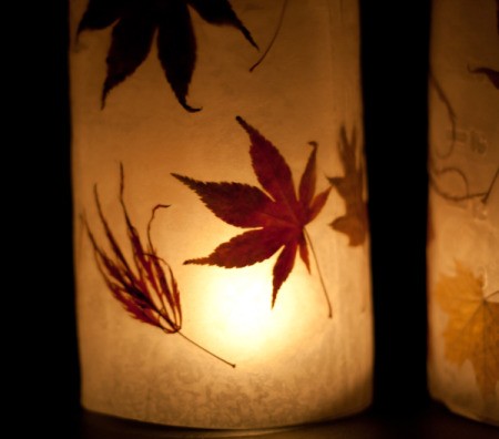 Autumn Lanterns, Lit Up Close