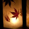 Autumn Lanterns, Lit Up Close