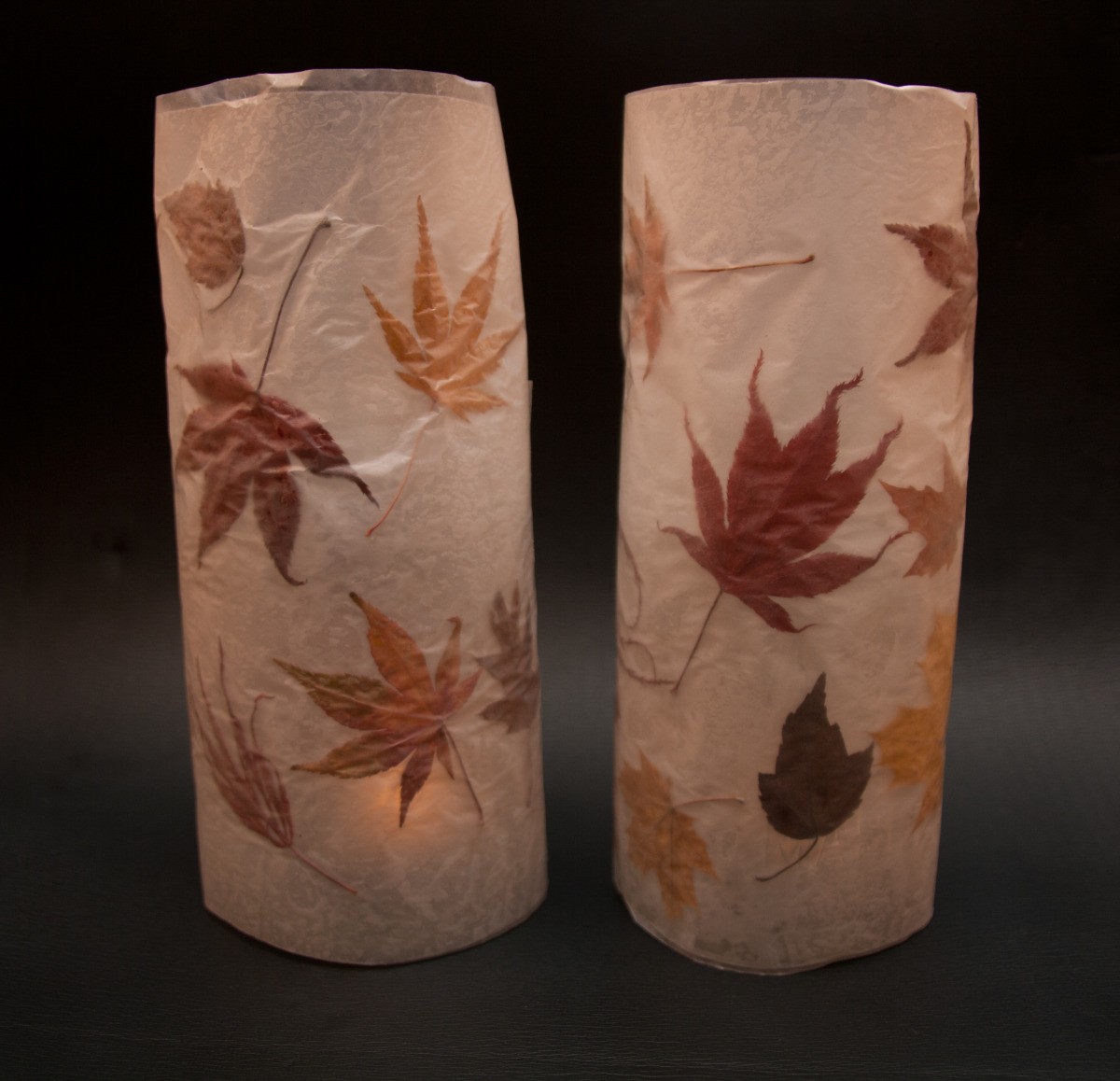 Making Autumn Leaf Lanterns ThriftyFun